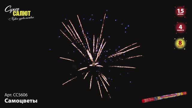 СС5606 Самоцветы смотреть онлайн