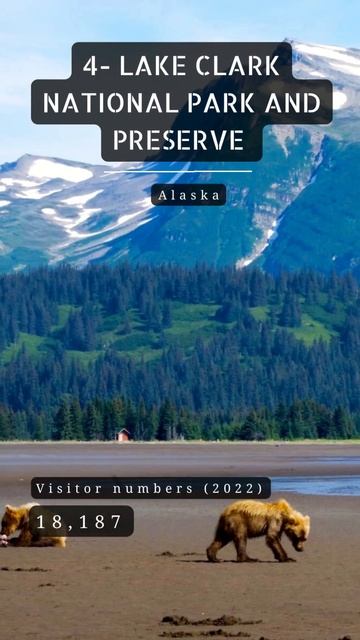7 least visited us national park #nationalpark #adventure #outdoors #bucketlist #shorts #shortvideo смотреть онлайн