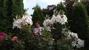 Лилии ОТ гибриды I Сад Людмилы Кудасовой