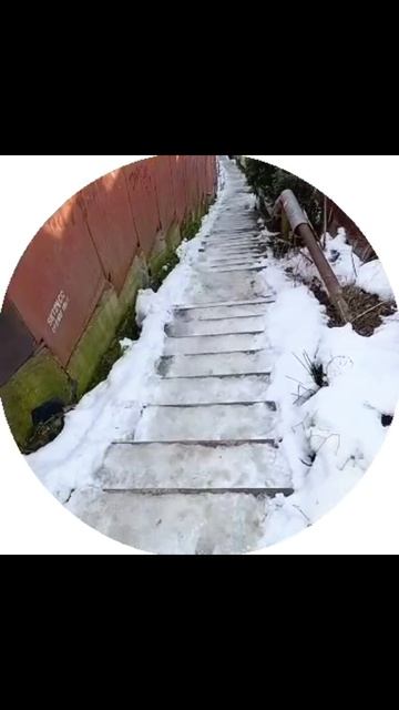 Курьерская жиза #рек #юмор #fyp #мем смотреть онлайн