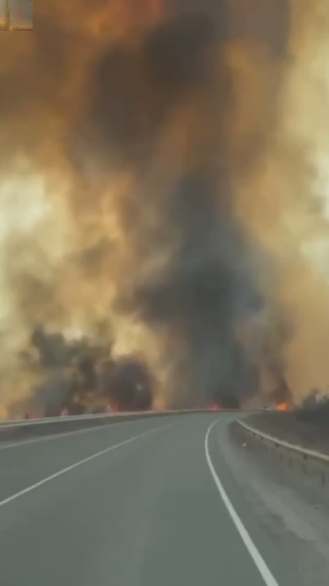 Страшный природный пожар в Приморье🔥 смотреть онлайн