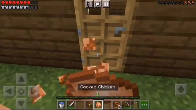 villager breeding farm (1) : ) / Al Mj kuttan смотреть онлайн