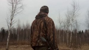 Охота на вальдшнепа на вечерней тяги. Весной.