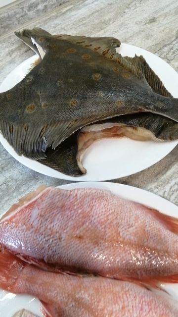 Камбала и окунь для горячего копчения смотреть онлайн