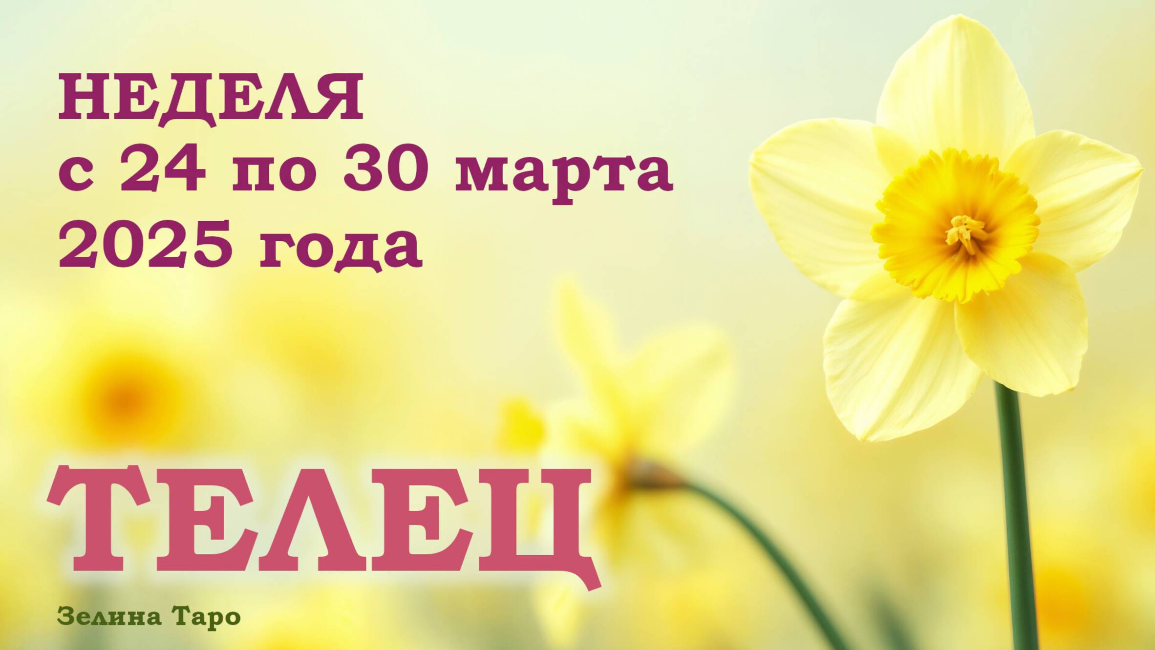 ТЕЛЕЦ | ТАРО прогноз на неделю с 24 по 30 марта 2025 года