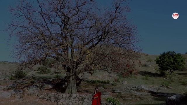 New Rajasthani Song 2024 | Piya Pyar Karu Thaasu | Bablu Ankiya | Rashmi Nishad | New Marwadi Song смотреть онлайн