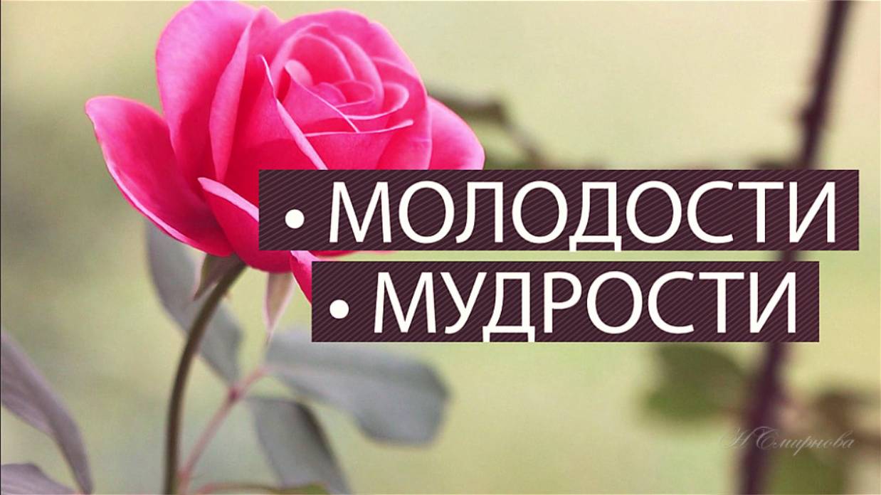 МК-36 Динамичное слайдшоу Мы вам желаем