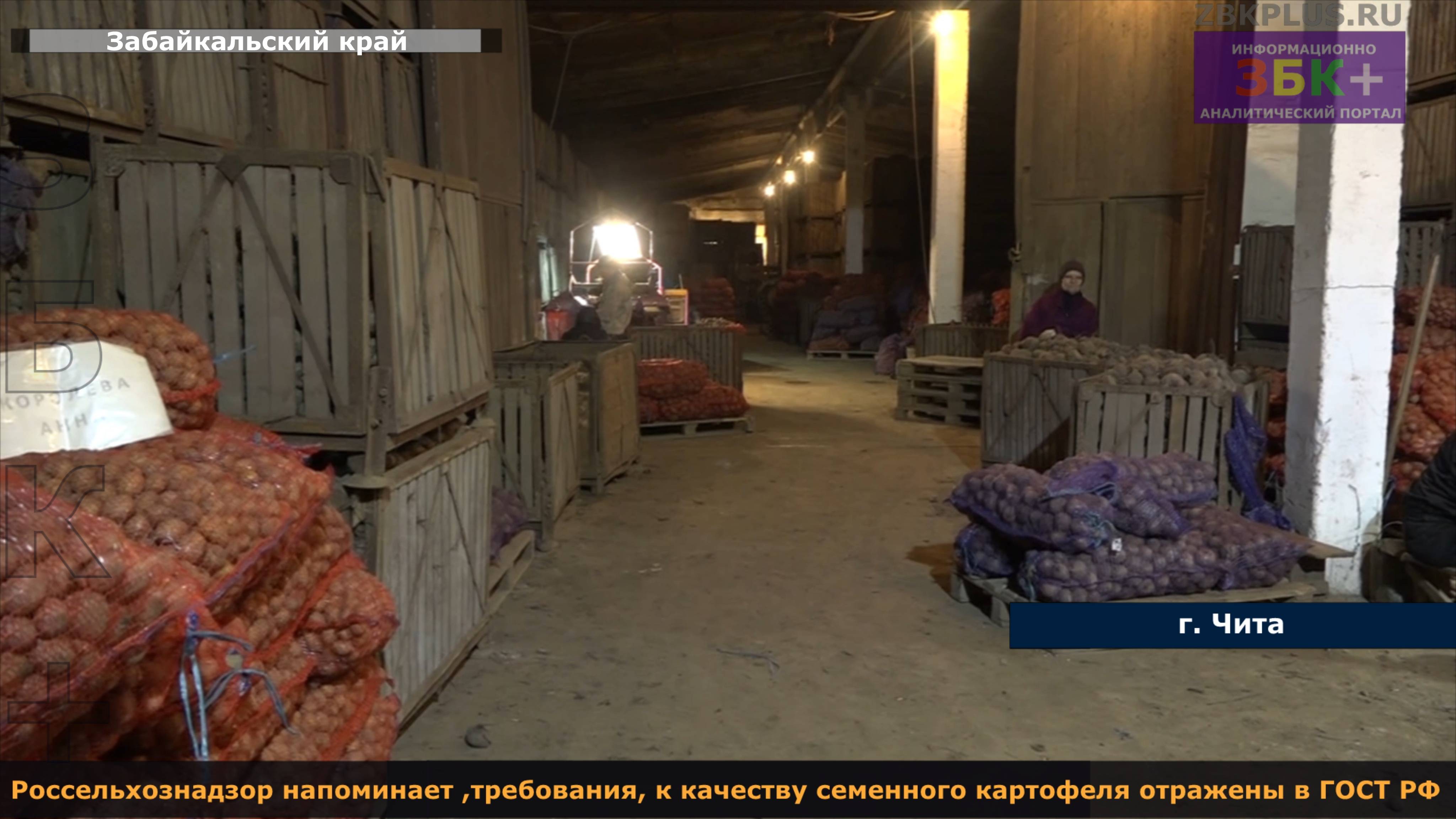 ЗБК + Россельхознадзор напоминает о требованиях ГОСТа РФ к семенному посадочному материалу смотреть онлайн