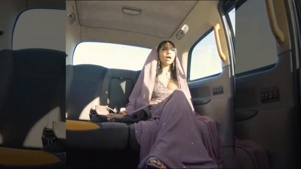 Public agent Fake Taxi 🚕 Driver