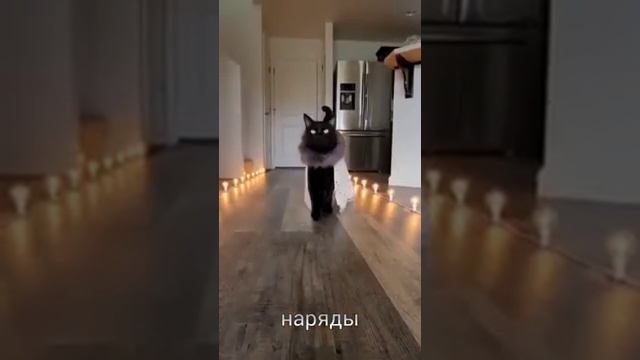 Зз в отпуске смотреть онлайн