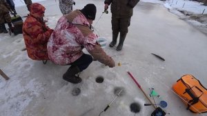 22 февраля РК ЧАЙКА БЕШЕНЫЙ КЛЕВ ФОРЕЛИ