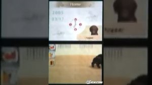 Nintendogs: Dachshund & Friends Nintendo DS Gameplay -