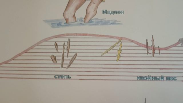 Вторая лента развития человека. смотреть онлайн