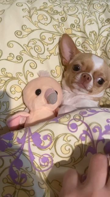 ДЛЯ ЧЕГО НУЖНЫ ЛЮДИ? смотреть онлайн