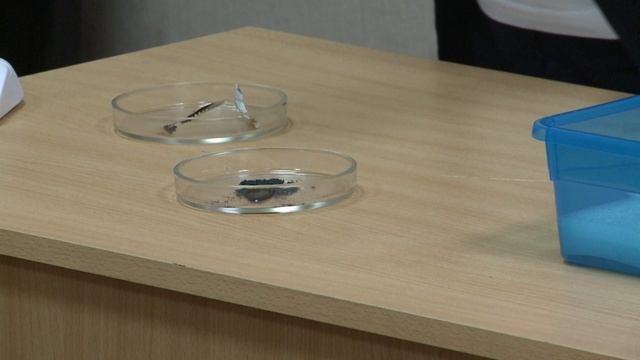 Наумова К.Г.