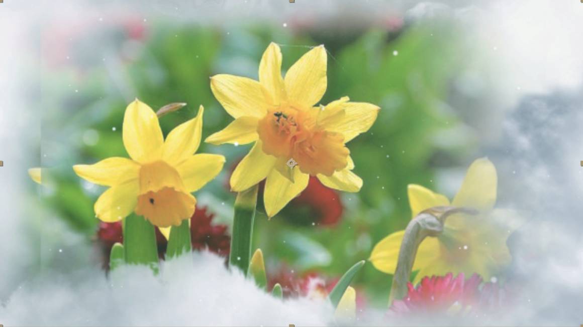 ААЕ Пусть распускаются цветы МК-36 Inspired by the Sky