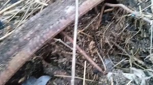 Открытие сезона..