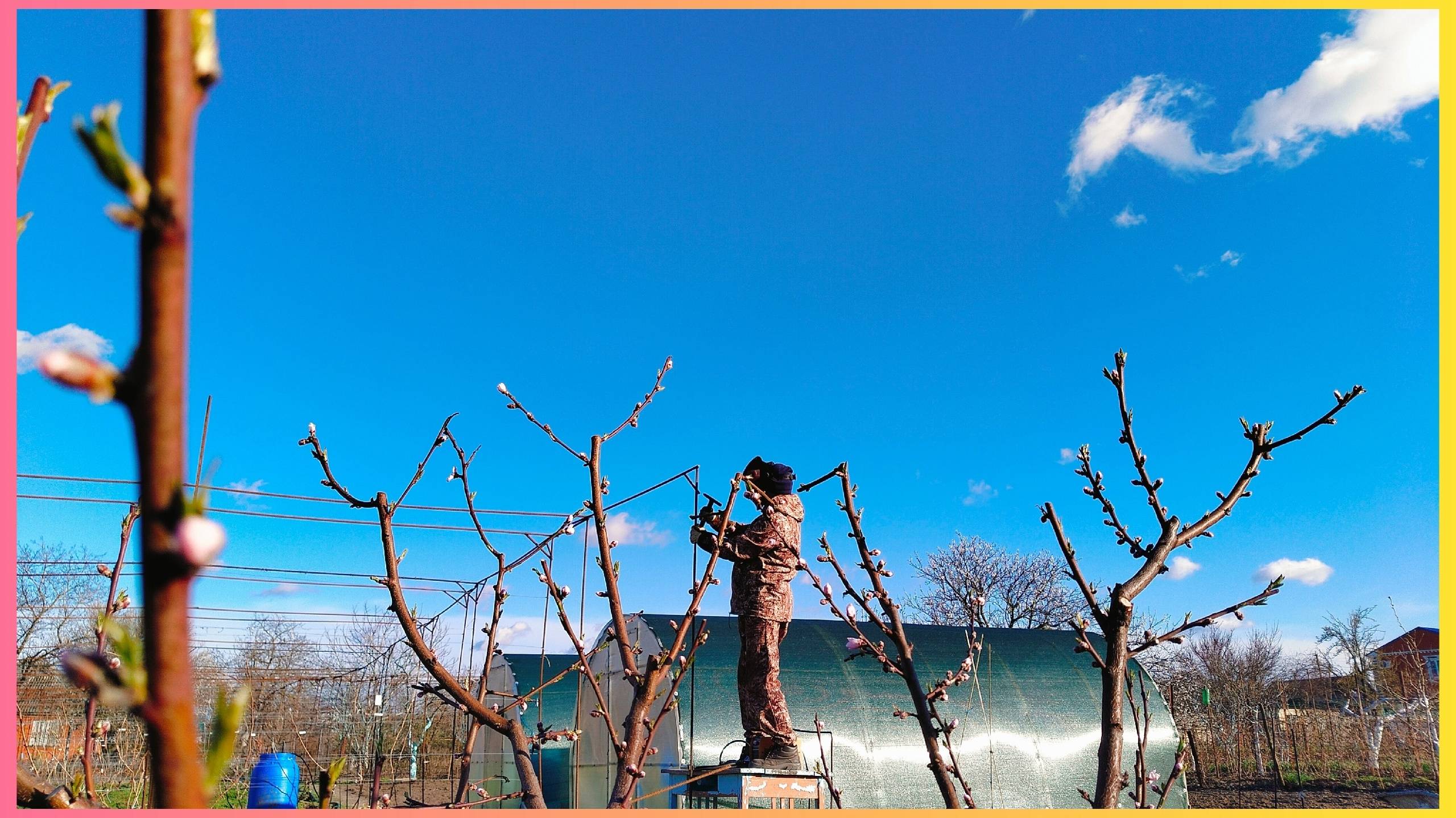 Никто кроме нас!Танцы с бубном.И виноградник будет и сад разрастётся. смотреть онлайн