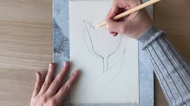 Тюльпан акварелью. Часть 2. Карандашный наборсок смотреть онлайн