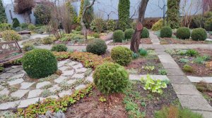 Чем удобряю розы и морозники. Прогулка по саду и ответы на вопросы 19.03.2025 г.Пятигорск #южныйсад