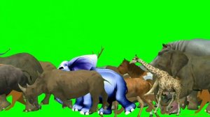New wild animals running video | Animal stampede green screen | 3d animal green screen