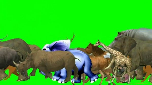 New wild animals running video | Animal stampede green screen | 3d animal green screen