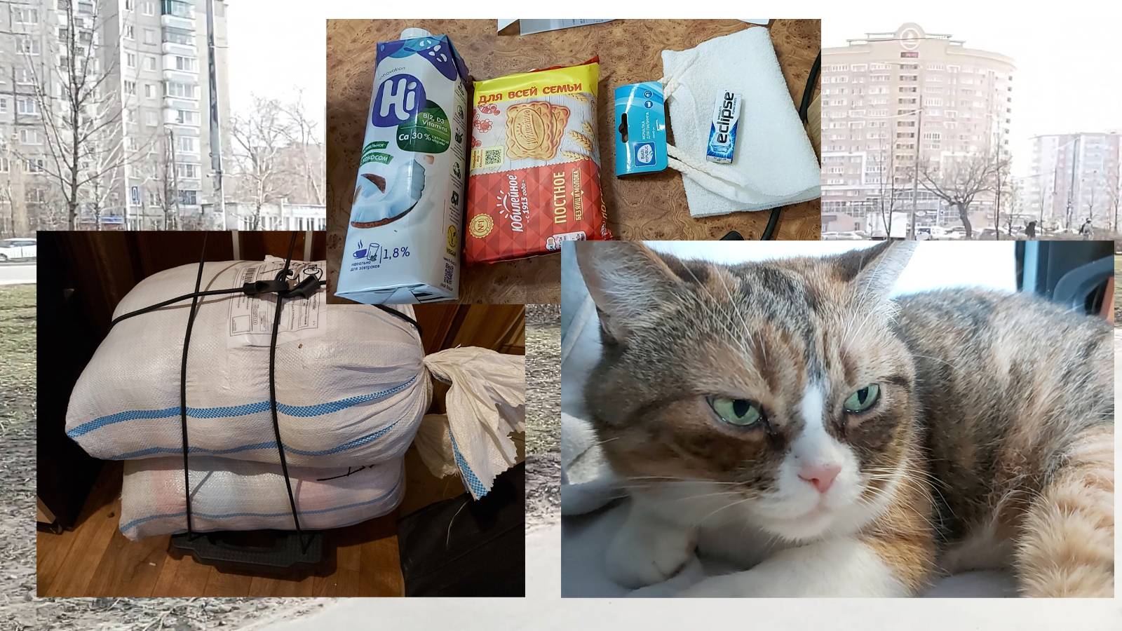 То снег, то жара))) Охочусь за пряжей)) Небольшие, но вкусные покупки. Соня скучает))) смотреть онлайн