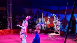 Цирковое выступление со змеями.Цирк шапито«Империя Хищников«г.Красногорск-15.03.2025 год.