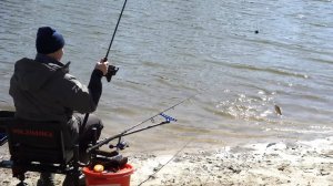 Весенний фидер! Отличная рыбалка на ДВА фидера!