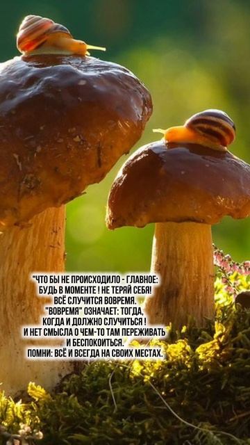 Подпишись и получай такие послания каждый день. Это на 21.03.25

#послание #посланиенакаждыйдень