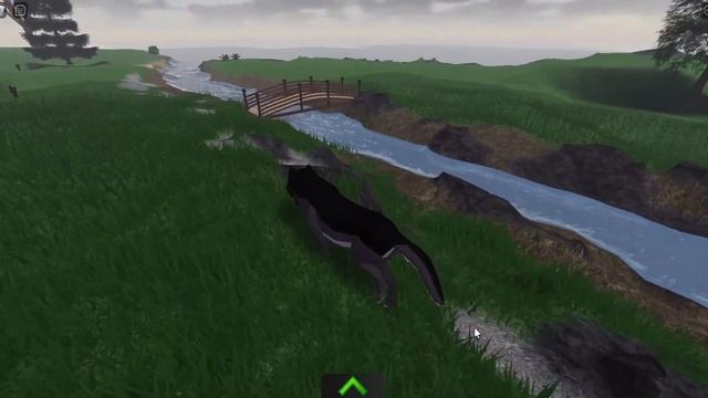 Exploring The Map Of Animal Life [] Animal Life: Forest RP (Roblox)