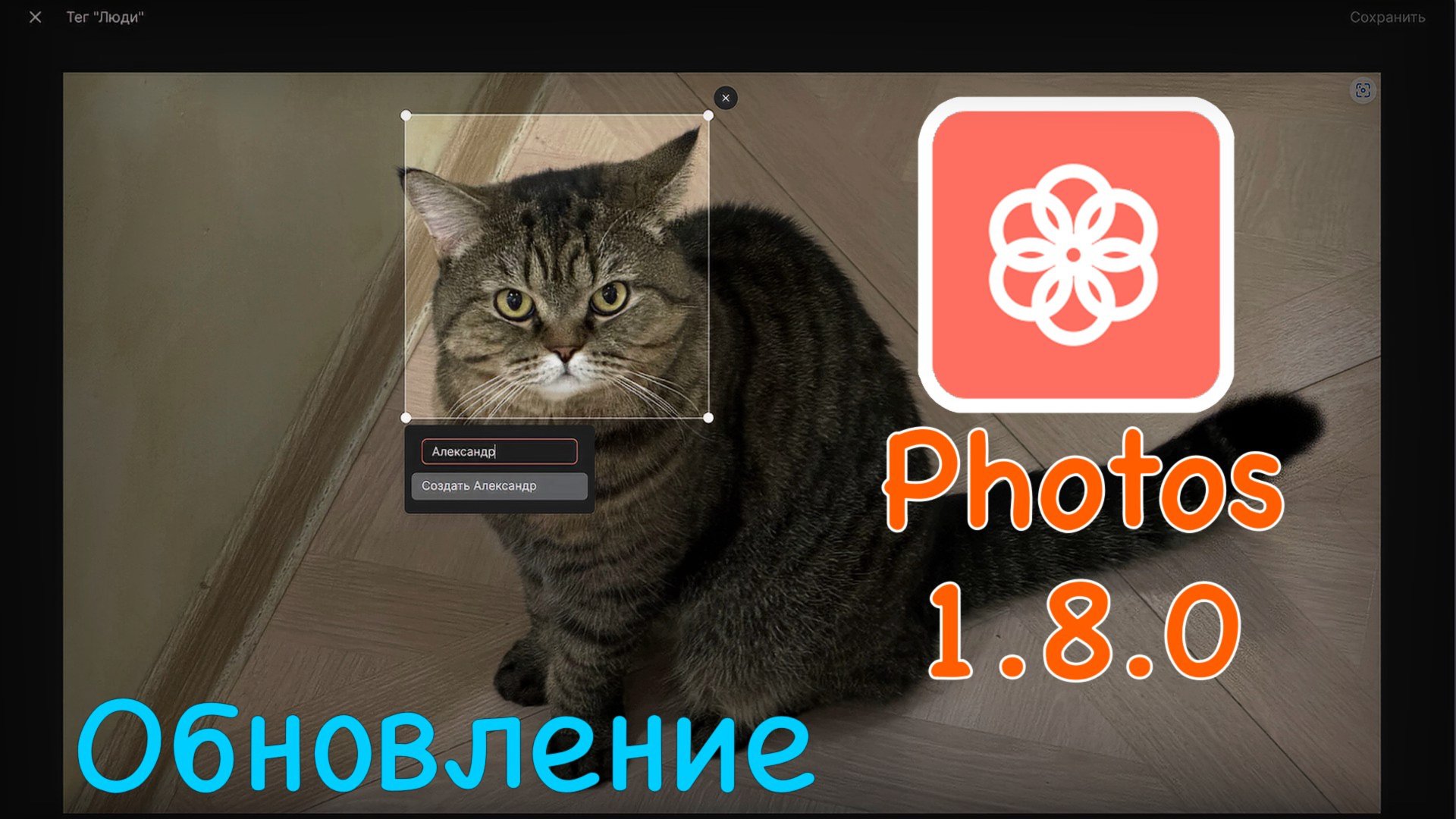 Новая версия Synology Photos 1.8.0 смотреть онлайн