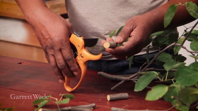 Garrett Wade Ratcheting Hand Pruner смотреть онлайн
