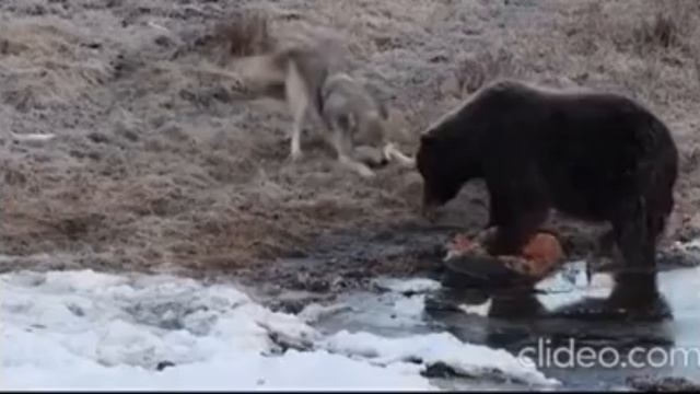 когда попросил друга поделится😂