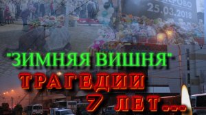 Пожар в Зимней Вишне, трагедии 7 лет