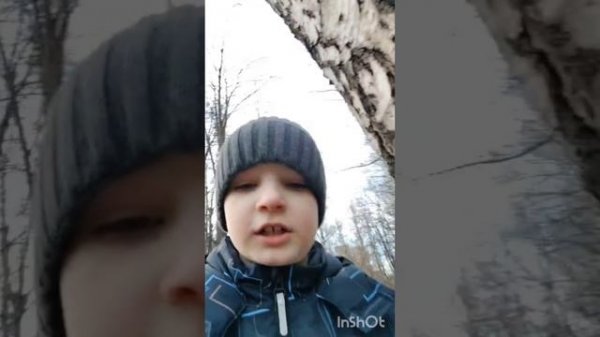 scp фонд существует SCP дерево