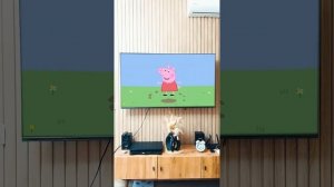 🔞 на что она намекает!_ 🔞 #юмор #владзакроев #мама #смешнаясемейка #shorts #таболапка