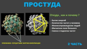 Простуда. Откуда,как и почему - 2 часть