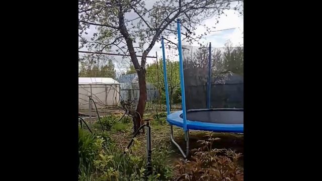 Батут для внуков смотреть онлайн