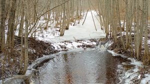 Стихи о наступающей весне.