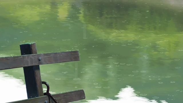 1000032243.mp4 смотреть онлайн
