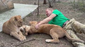 Эта львица бегает за Олегом Зубковым как привязанная)))