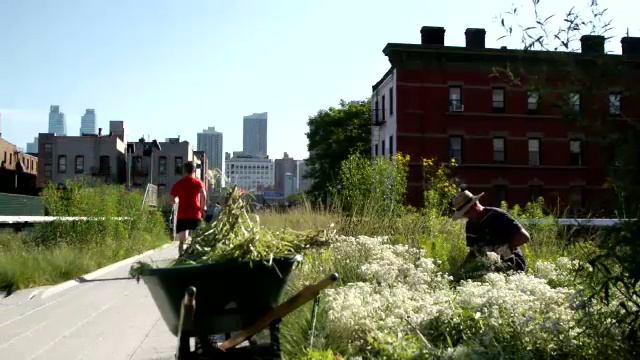 Watch_-_Unit_8_preview_Final смотреть онлайн