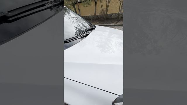 Шкода йетти