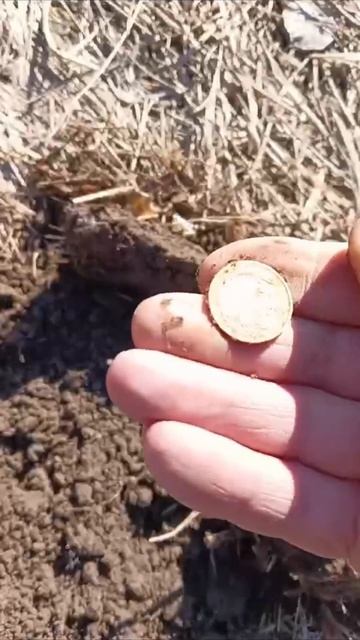 Вот что значит не копать пробки! #shorts смотреть онлайн