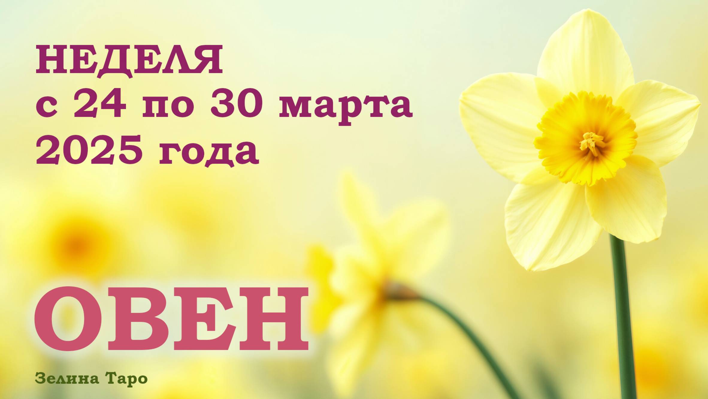 ОВЕН | ТАРО прогноз на неделю с 24 по 30 марта 2025 года