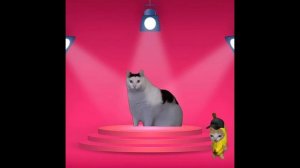 Baby Banana Cat Videos 😺❤️ 2 Minutes #7