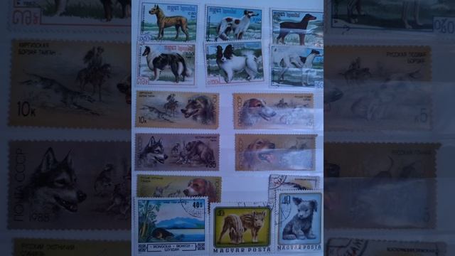 Коллекция марок смотреть онлайн