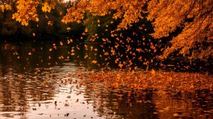 Песня 2025г. Сергей Есенин — Закружилась листва золотая