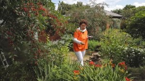 Кто с кем дружит часть 3 I Сад Непрерывного Цветения